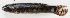  ( - M018-032)  @11 [ ] Copyright (2013) D. Ponton IRD