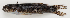  ( - M018-034)  @11 [ ] Copyright (2013) D. Ponton IRD