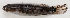 ( - M018-035)  @11 [ ] Copyright (2013) D. Ponton IRD
