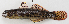  ( - M018-037)  @11 [ ] Copyright (2013) D. Ponton IRD