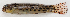  ( - M018-039)  @11 [ ] Copyright (2013) D. Ponton IRD