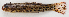  ( - M018-040)  @11 [ ] Copyright (2013) D. Ponton IRD