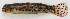  ( - M018-041)  @11 [ ] Copyright (2013) D. Ponton IRD