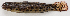  ( - M018-042)  @11 [ ] Copyright (2013) D. Ponton IRD