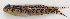  ( - M018-044)  @11 [ ] Copyright (2013) D. Ponton IRD