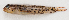  ( - M018-045)  @11 [ ] Copyright (2013) D. Ponton IRD
