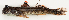  ( - M025-003)  @11 [ ] Copyright (2013) D. Ponton IRD