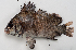  ( - M027-015)  @11 [ ] Copyright (2013) D. Ponton IRD
