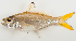  ( - M029-006)  @15 [ ] Copyright (2013) D. Ponton IRD
