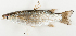  ( - M030-002)  @14 [ ] Copyright (2013) D. Ponton IRD