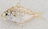  ( - M037-077)  @11 [ ] Copyright (2014) D. Ponton IRD