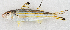  ( - M041-012)  @11 [ ] Copyright (2014) D. Ponton IRD