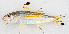  ( - M041-013)  @11 [ ] Copyright (2014) D. Ponton IRD
