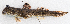 ( - M050-004)  @11 [ ] Copyright (2014) D. Ponton IRD