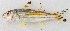  ( - M056-002)  @11 [ ] Copyright (2014) D. Ponton IRD