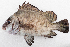  ( - M065-001)  @11 [ ] Copyright (2014) D. Ponton IRD