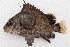  ( - M079-004)  @11 [ ] Copyright (2014) D. Ponton IRD