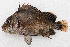  ( - M079-009)  @11 [ ] Copyright (2014) D. Ponton IRD