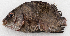  ( - M079-010)  @11 [ ] Copyright (2014) D. Ponton IRD