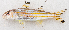  ( - M084-007)  @11 [ ] Copyright (2014) D. Ponton IRD
