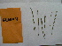  ( - PNCA196)  @11 [ ] CreativeCommons - Attribution Non-Commercial Share-Alike (2012) Aaron Liston Oregon State University