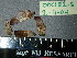  ( - PNCA224)  @11 [ ] CreativeCommons - Attribution Non-Commercial Share-Alike (2012) Aaron Liston Oregon State University