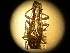  ( - USNM ENT 00727643)  @12 [ ] CreativeCommons - Attribution Non-Commercial Share-Alike (2014) C. W. Wardhaugh Czech Academy of Sciences