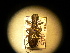  ( - USNM ENT 00727896)  @12 [ ] CreativeCommons - Attribution Non-Commercial Share-Alike (2014) C. W. Wardhaugh Czech Academy of Sciences
