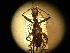  ( - USNM ENT 00728252)  @12 [ ] CreativeCommons - Attribution Non-Commercial Share-Alike (2014) C. W. Wardhaugh Czech Academy of Sciences