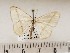  ( - CSUC106)  @11 [ ] CreativeCommons  Attribution Share-Alike (2021) Candice Sawyer California State University, Chico State Entomology Collection
