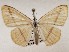  ( - CSUC107)  @11 [ ] CreativeCommons  Attribution Share-Alike (2021) Candice Sawyer California State University, Chico State Entomology Collection