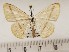  ( - CSUC107)  @11 [ ] CreativeCommons  Attribution Share-Alike (2021) Candice Sawyer California State University, Chico State Entomology Collection