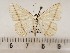  ( - CSUC109)  @11 [ ] CreativeCommons  Attribution Share-Alike (2021) Candice Sawyer California State University, Chico State Entomology Collection