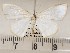  ( - CSUC113)  @11 [ ] CreativeCommons  Attribution Share-Alike (2021) Candice Sawyer California State University, Chico State Entomology Collection