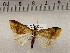  ( - CSUC163)  @11 [ ] CreativeCommons  Attribution Share-Alike (2021) Candice Sawyer California State University, Chico State Entomology Collection