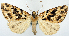  ( - 1246544)  @11 [ ] CreativeCommons - Attribution Non-Commercial Share-Alike (2015) David Polluck Smithsonian Institution