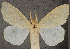  ( - 1377100)  @11 [ ] Unspecified (default): All Rights Reserved  Unspecified Unspecified