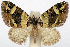  ( - CCDB-20690-B05)  @11 [ ] CreativeCommons - Attribution (2014) David Pollock Centre for Biodiversity Genomics