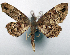  ( - CCDB-20690-G11)  @11 [ ] CreativeCommons - Attribution (2014) David Pollock Centre for Biodiversity Genomics