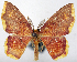  ( - CCDB-20690-H11)  @11 [ ] CreativeCommons - Attribution (2014) David Pollock Centre for Biodiversity Genomics