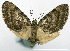  ( - CCDB-20690-A02)  @11 [ ] CreativeCommons - Attribution (2014) David Pollock Centre for Biodiversity Genomics