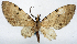  ( - CCDB-20690-D10)  @11 [ ] CreativeCommons - Attribution (2014) David Pollock Centre for Biodiversity Genomics