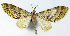  ( - CCDB-21789-G07)  @11 [ ] CreativeCommons - Attribution (2014) David Pollock Centre for Biodiversity Genomics