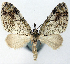  ( - CCDB-21789-E02)  @11 [ ] CreativeCommons - Attribution (2014) David Pollock Centre for Biodiversity Genomics