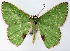  ( - CCDB-21789-D09)  @11 [ ] CreativeCommons - Attribution (2014) David Pollock Centre for Biodiversity Genomics