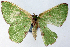  ( - CCDB-21789-D10)  @11 [ ] CreativeCommons - Attribution (2014) David Pollock Centre for Biodiversity Genomics