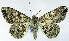  ( - CCDB-21790-C07)  @11 [ ] CreativeCommons - Attribution (2014) David Pollock Centre for Biodiversity Genomics