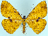  ( - 817244)  @11 [ ] CreativeCommons - Attribution Non-Commercial Share-Alike (2015) David Polluck Smithsonian Institution