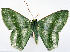  ( - 817421)  @11 [ ] CreativeCommons - Attribution Non-Commercial Share-Alike (2015) David Polluck Smithsonian Institution
