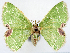  ( - 817435)  @11 [ ] CreativeCommons - Attribution Non-Commercial Share-Alike (2015) David Polluck Smithsonian Institution